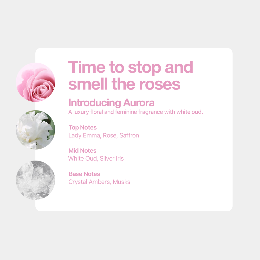 Tallow + Ash Aurora Laundry Shampoo 800ml