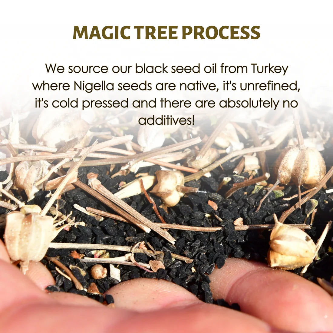 Magic Tree Black Seed Oil Extra Strong 100ml