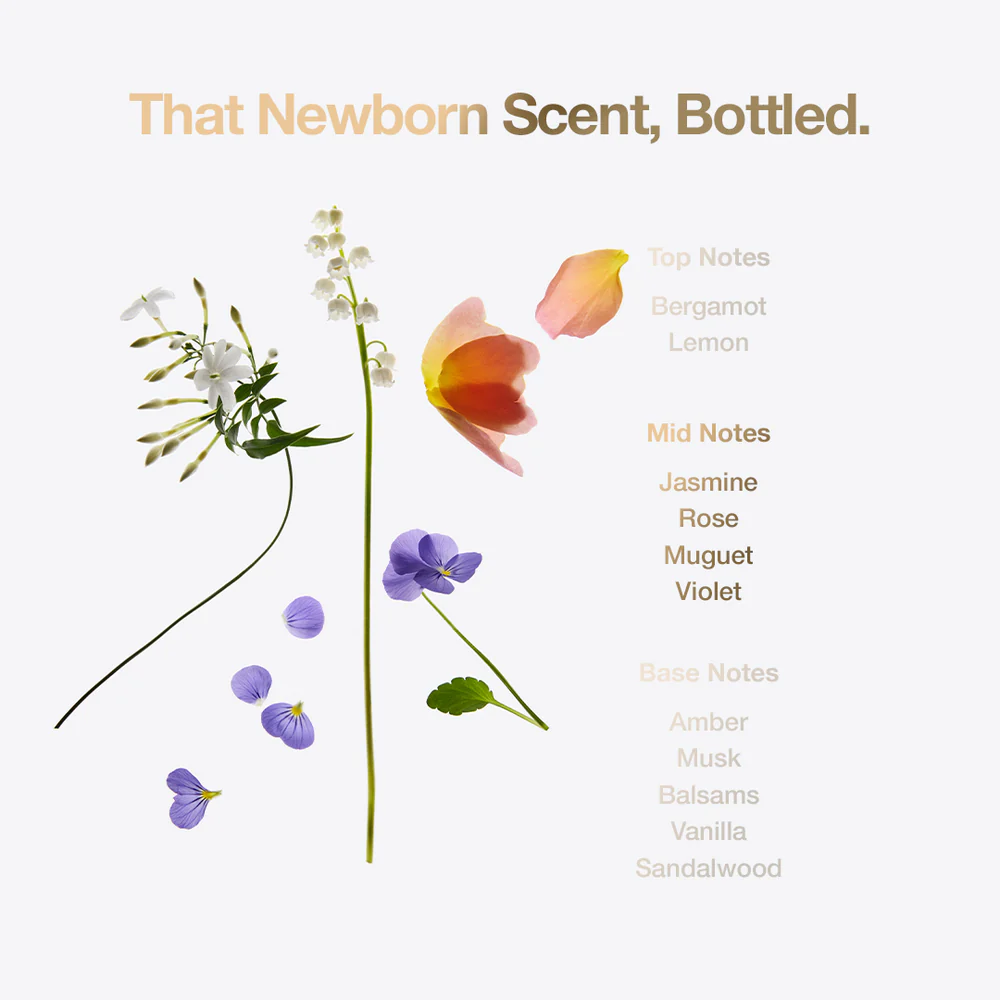 Tallow + Ash Little Miracle Laundry Shampoo 800ml