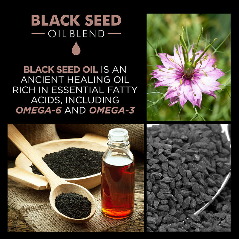 CHI Black Seed Moisture Replenish Conditioner 355ml
