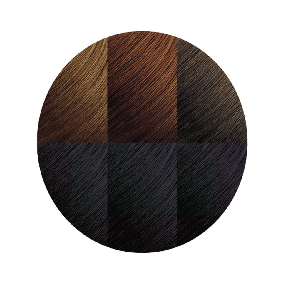 Creme of Nature Exotic Shine™ Color with Argan Oil from Morocco 1.0 Intense Black
