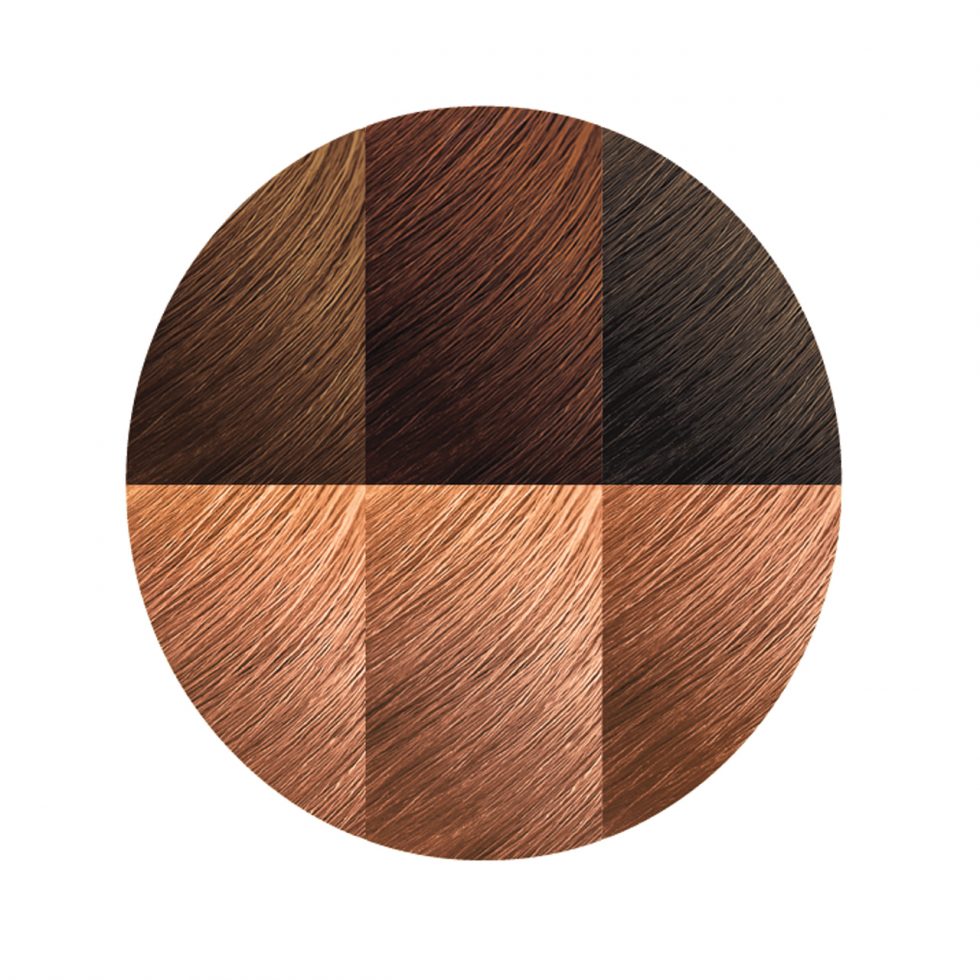 Creme of Nature Exotic Shine™ Color with Argan Oil from Morocco 9.2 Light Caramel Brown