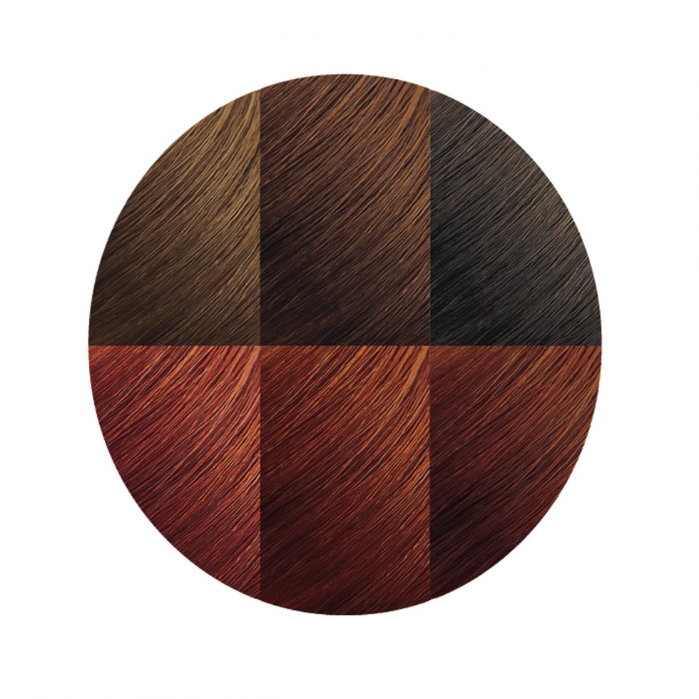Creme of Nature Exotic Shine™ Color with Argan Oil from Morocco 6.4 Red Copper