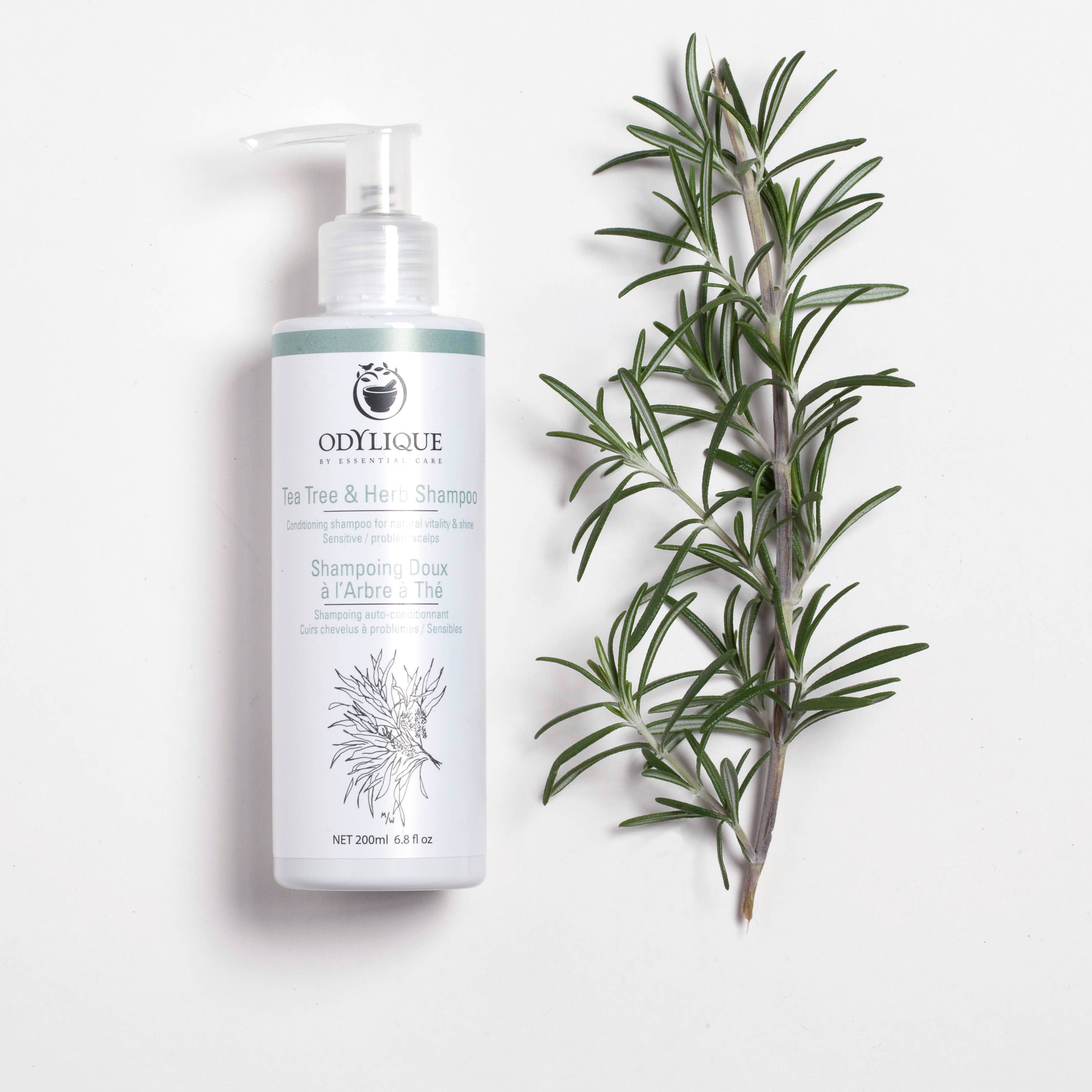Odylique Tea Tree & Herb Shampoo