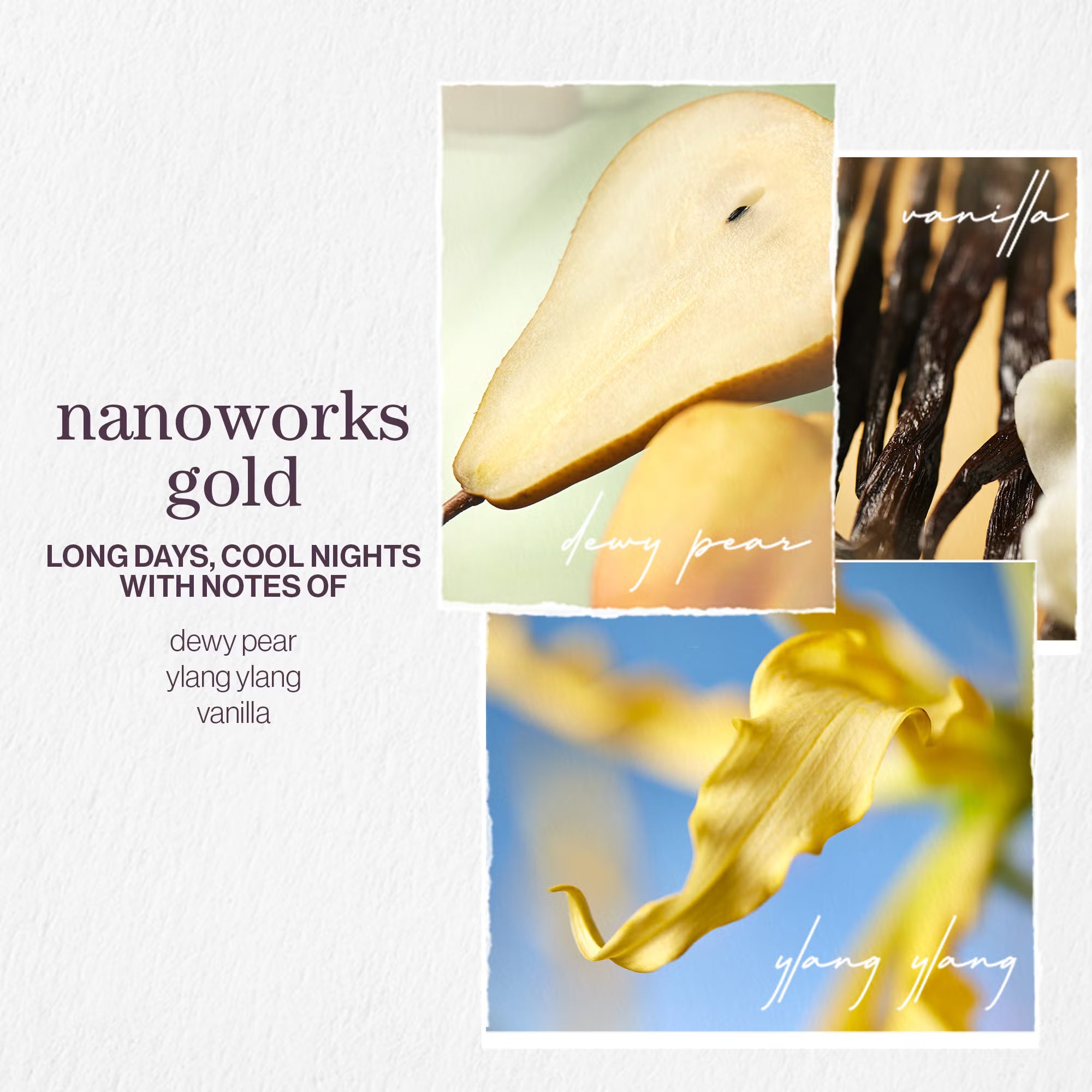 Pureology Nanoworks Gold Shampoo