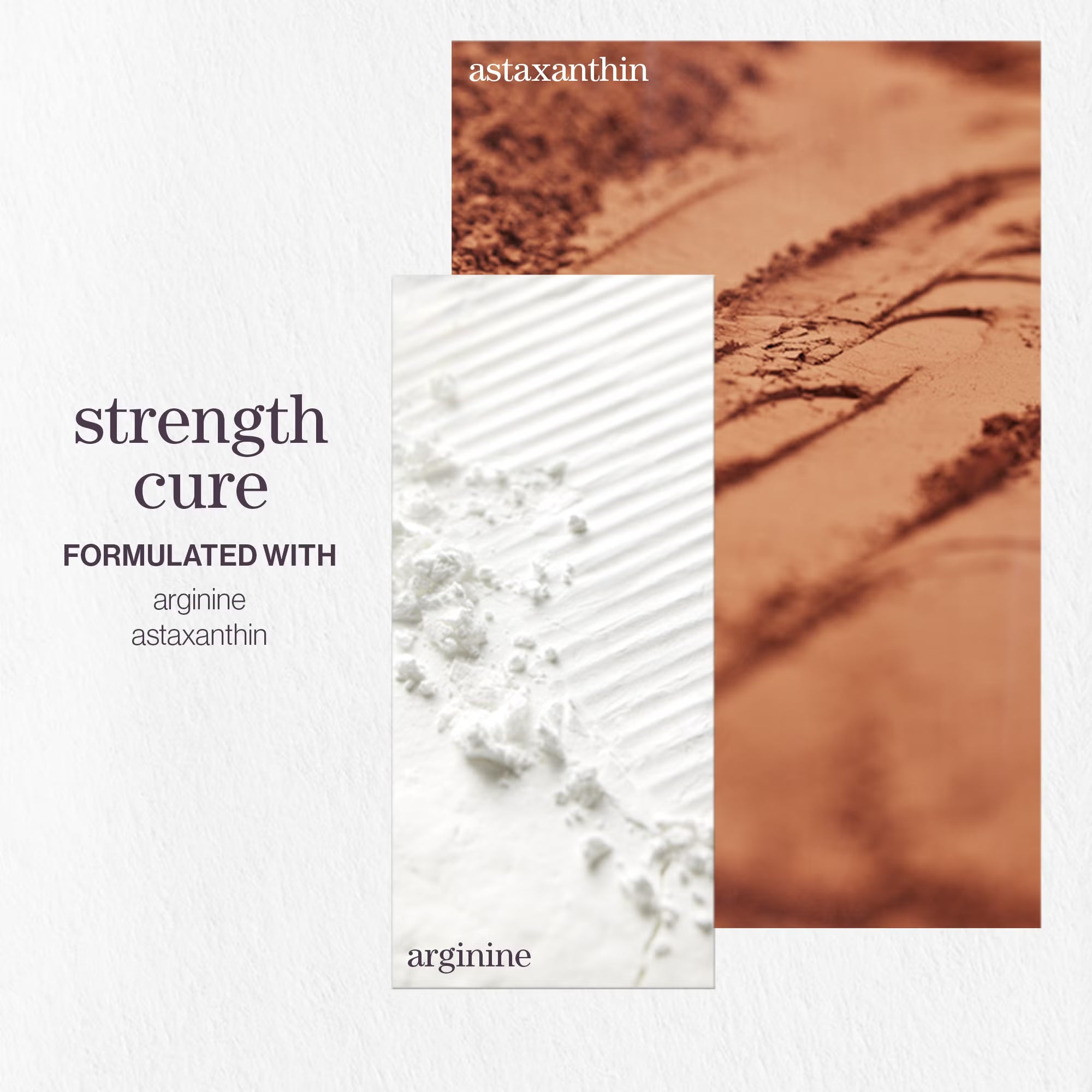 Pureology Strength Cure Shampoo