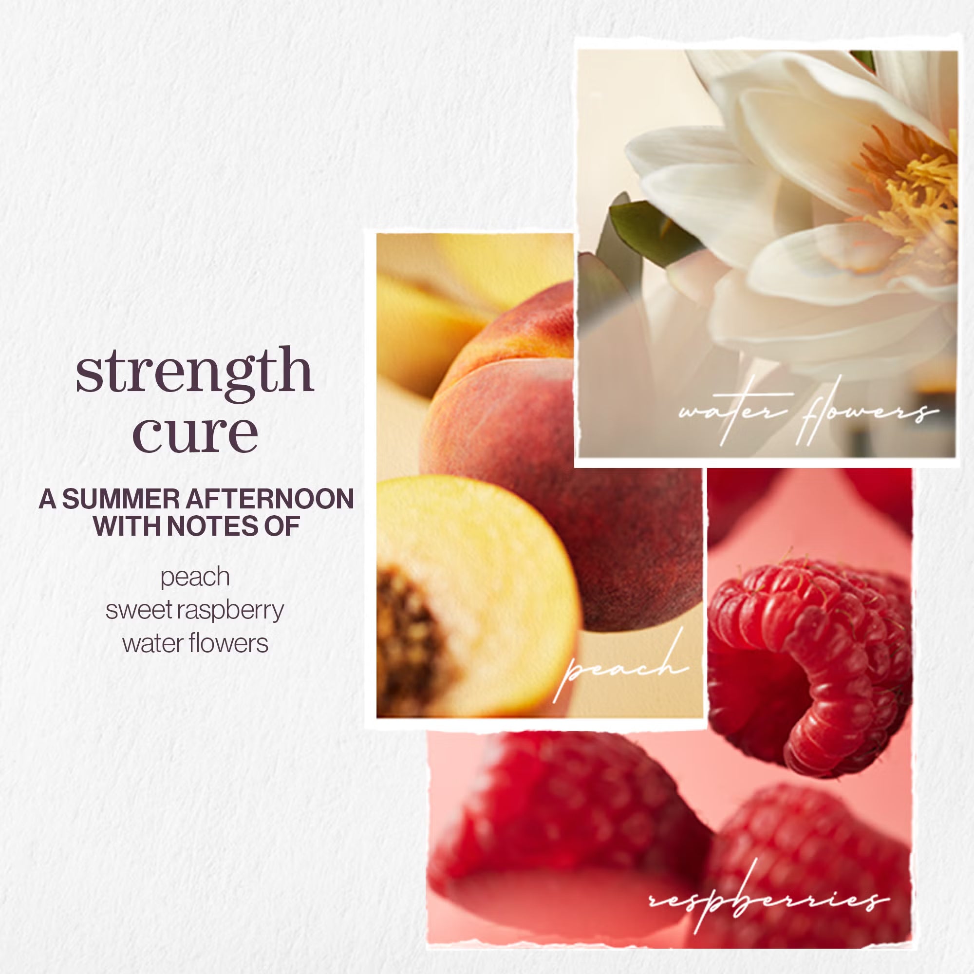 Pureology Strength Cure Shampoo