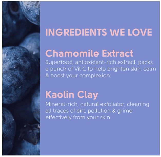 Facefacts Antioxidant Blueberry Clay Mask
