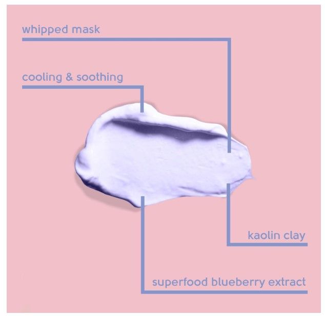 Facefacts Antioxidant Blueberry Clay Mask