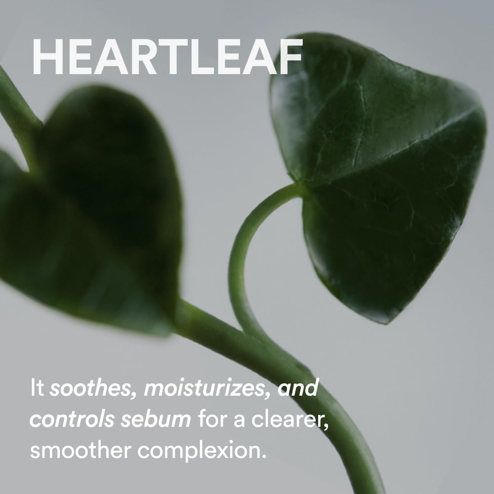 Abib Heartleaf Creme Calming Tube 75ml