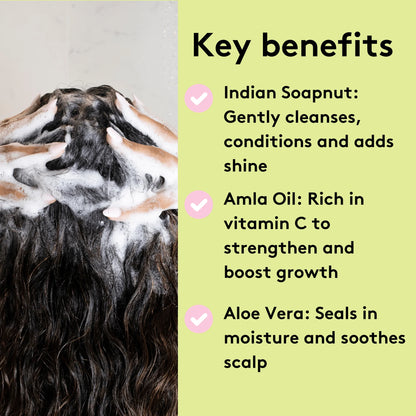 Delhicious Rich Roots Amla &amp; Rosemary Shampoo - 250ml