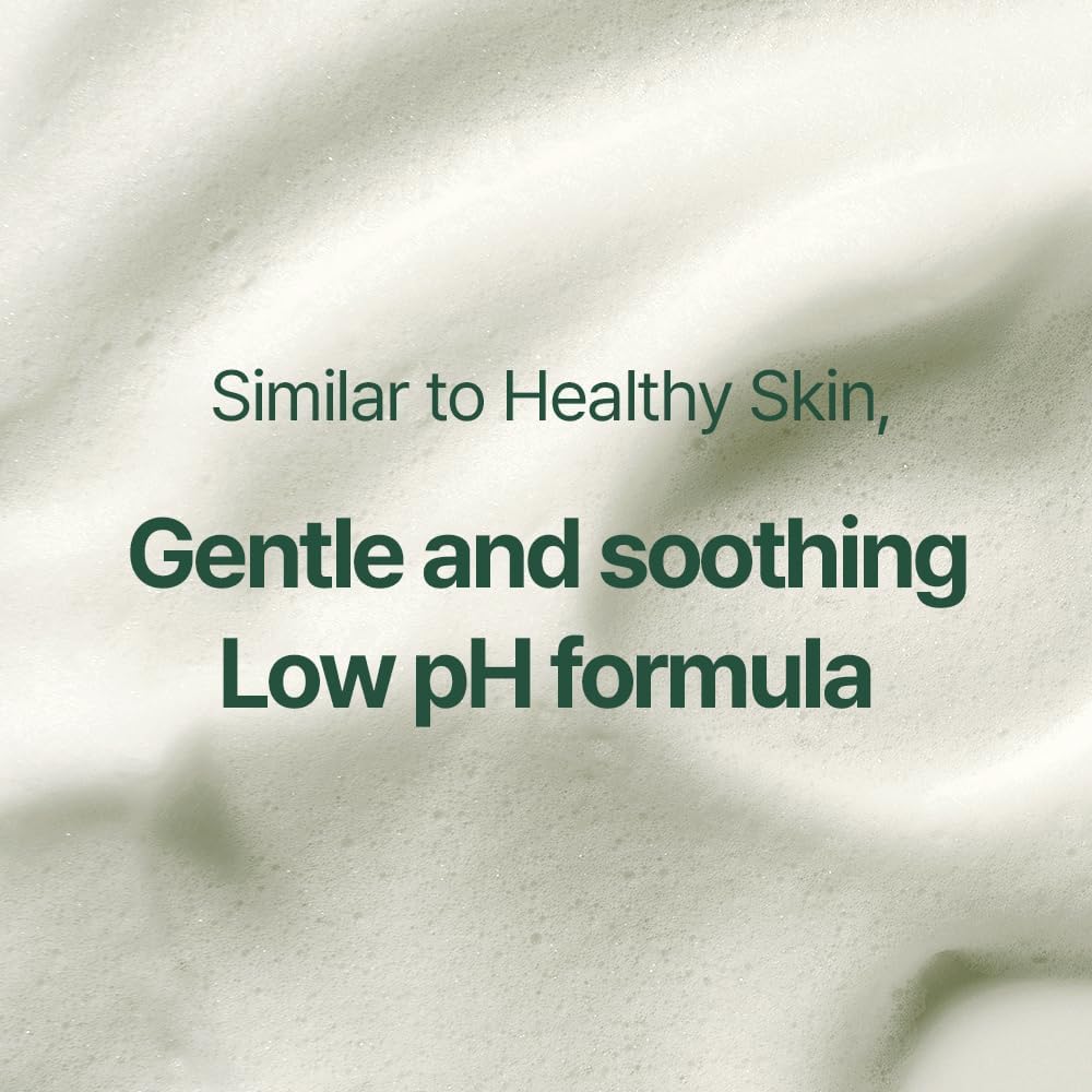 Pyunkang Yul Calming Acne Cleansing Foam 100ml