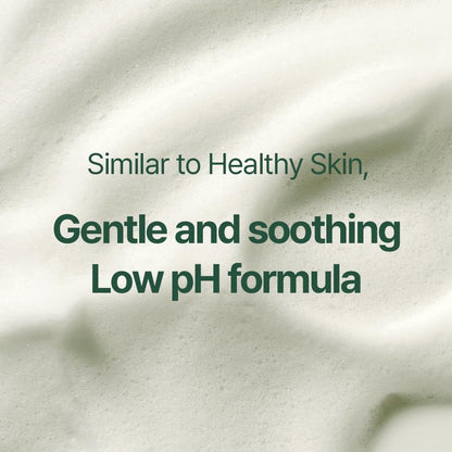 Pyunkang Yul Calming Acne Cleansing Foam 100ml