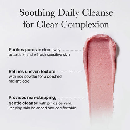 Arencia Fresh Rosehip Mochi Cleanser 120g