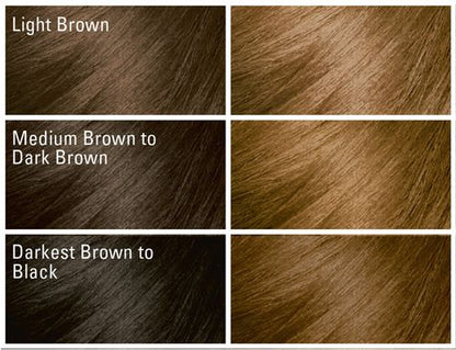 Softsheen Carson Dark &amp; Lovely® Fade Resist Rich Conditioning Color 379 GOLDEN BRONZE