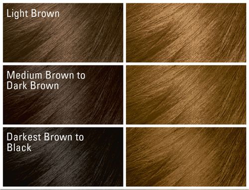 Softsheen Carson Dark &amp; Lovely® Fade Resist Rich Conditioning Color 380 CHESTNUT BLONDE