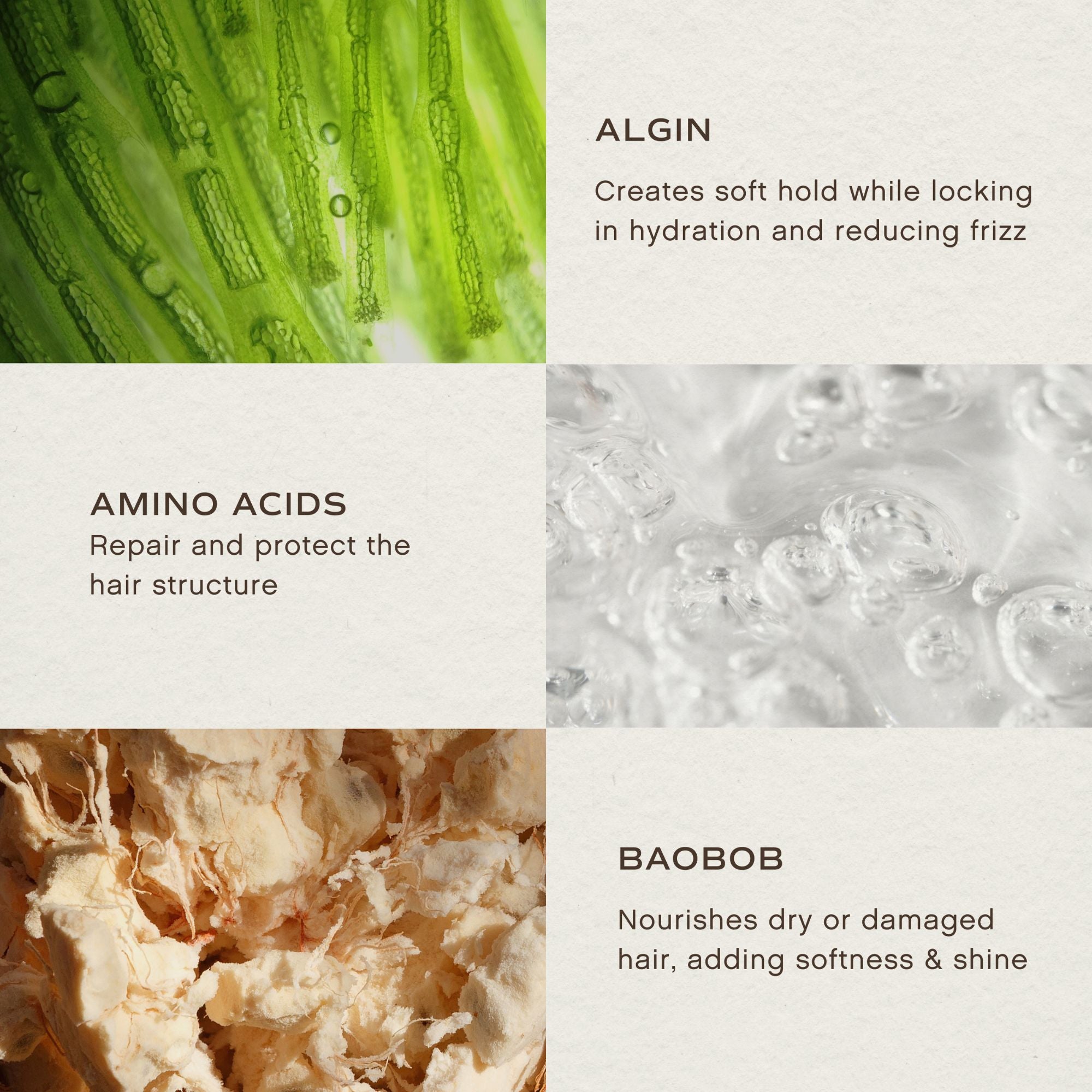 Text and images of alginate, amino acids, and baoob on a white background
