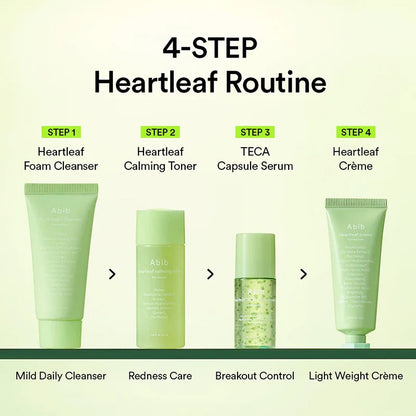 Abib Heartleaf Calming Trial Kit - 4 pc