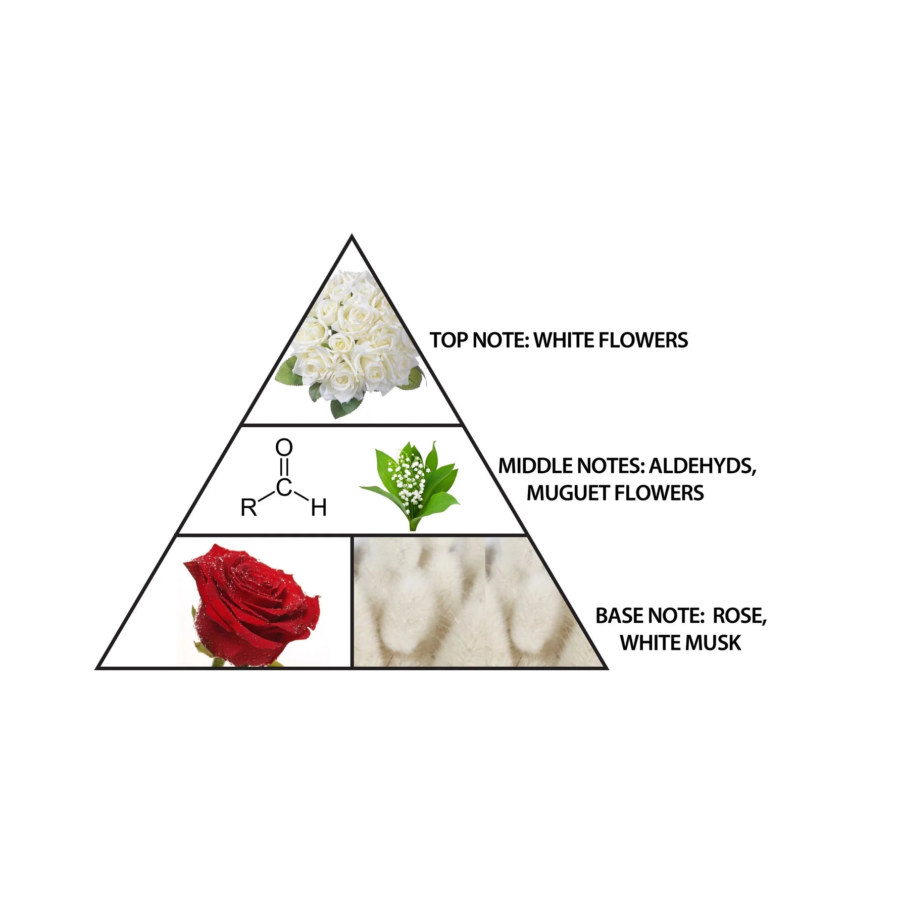 Al Haramain Solitaire Musk perfume notes showing white flowers, aldehydes and muguet over a base of rose and white musk