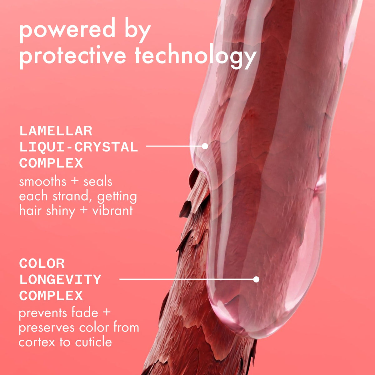 Amika The Protector Color Protect + Strengthen Shampoo 275ml