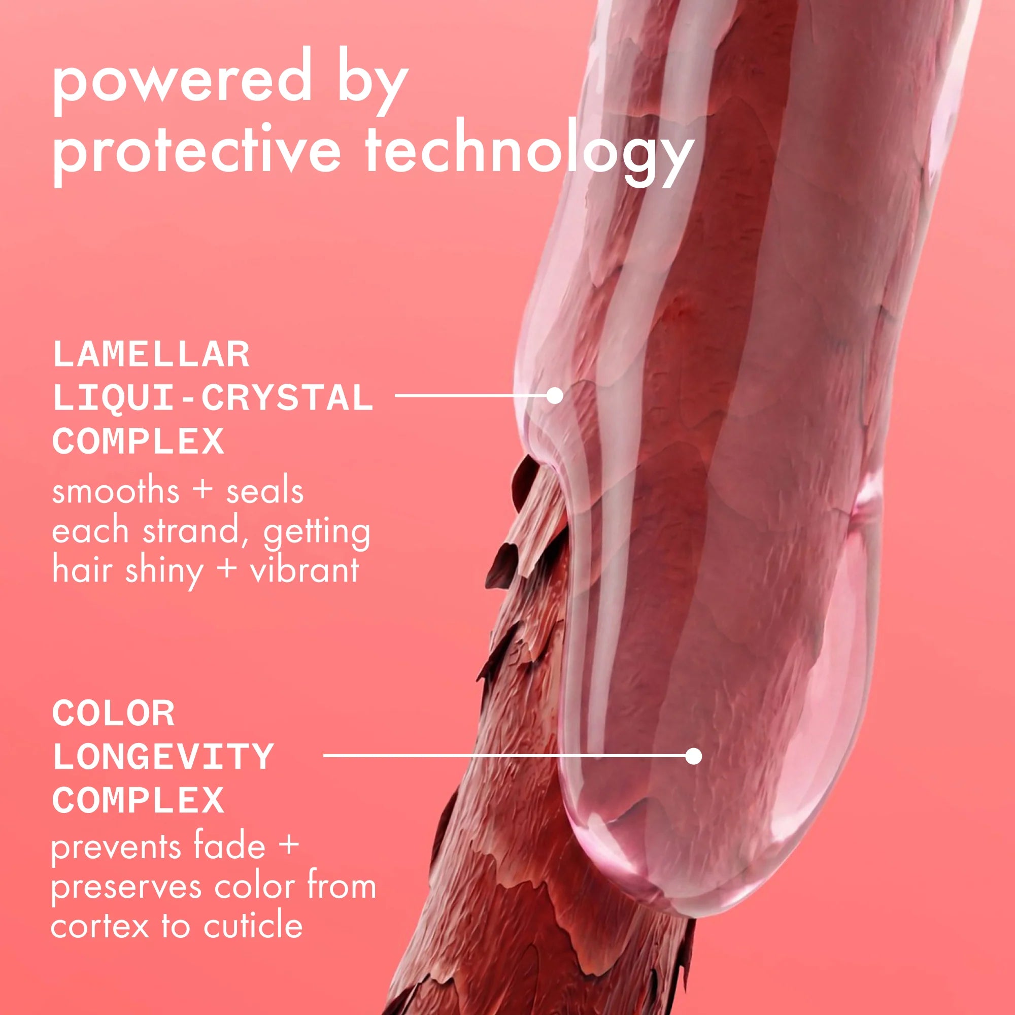 Amika The Protector Color Protect + Strengthen Treatment 200ml