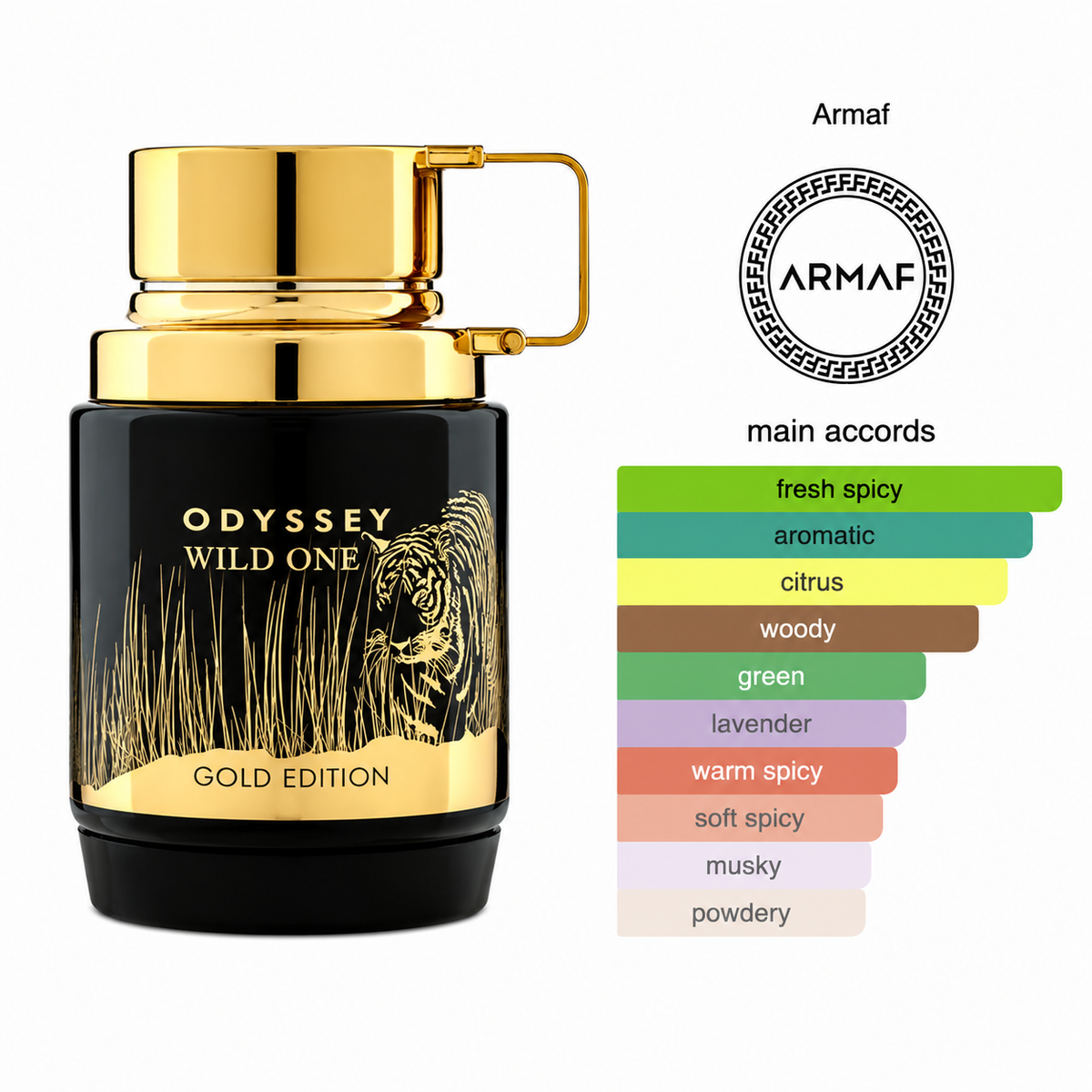 Armaf Odyssey Wild One Eau De Parfum 100ml bottle and tier list of main accords on a white background