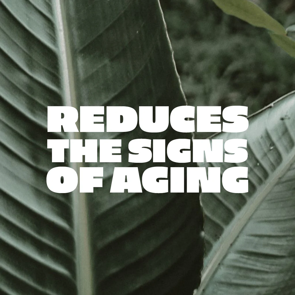 Text 'REDUCES THE SIGNS OF AGING' over green leaf background