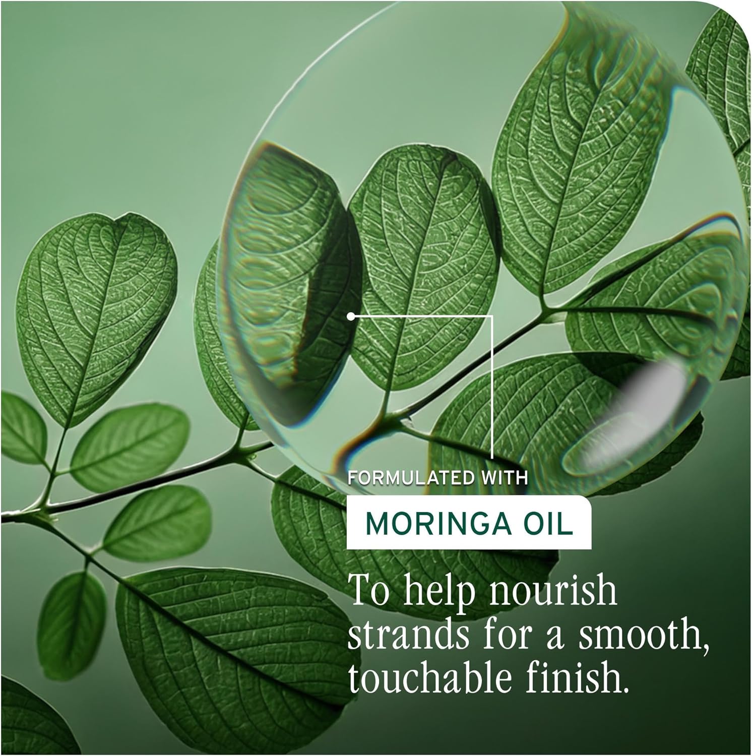 Biolage Professional All-In-One Multi-Benefit Oil 100ml formulated with nourishing moringa oil to smooth hair, reduce frizz and enhance shine.