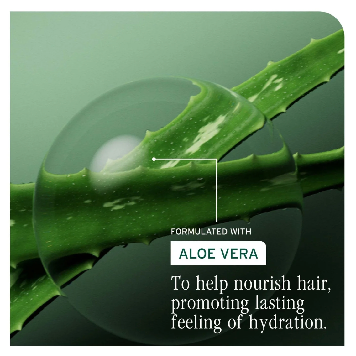 Biolage Professional Hydra Source Deep Treatment Pack 100ml formulated with aloe vera