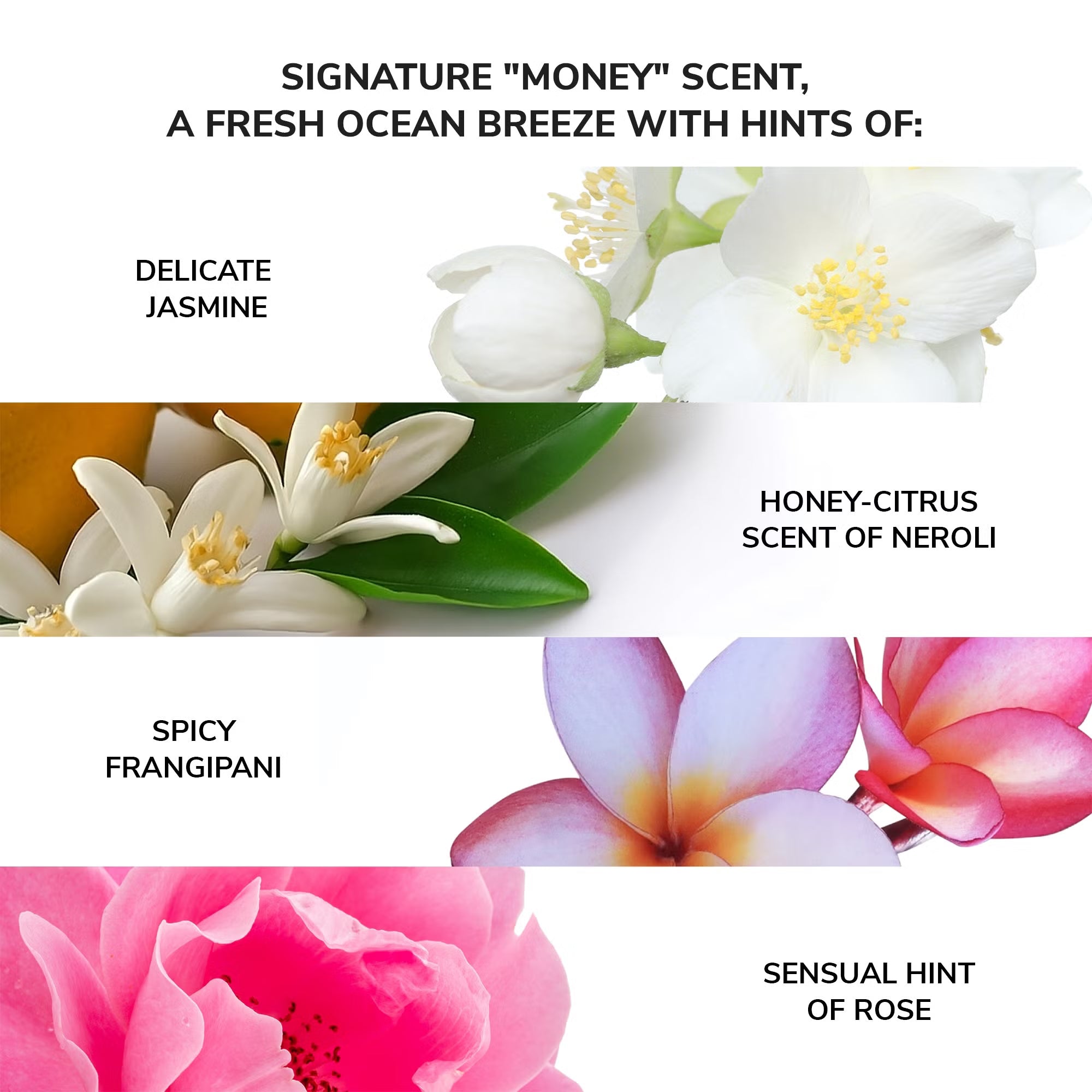 Color Wow MONEY Laundering Hydrating Shampoo 250ml scent explained 