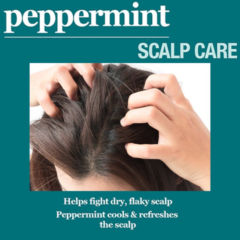 Difeel Peppermint Scalp Care Shampoo