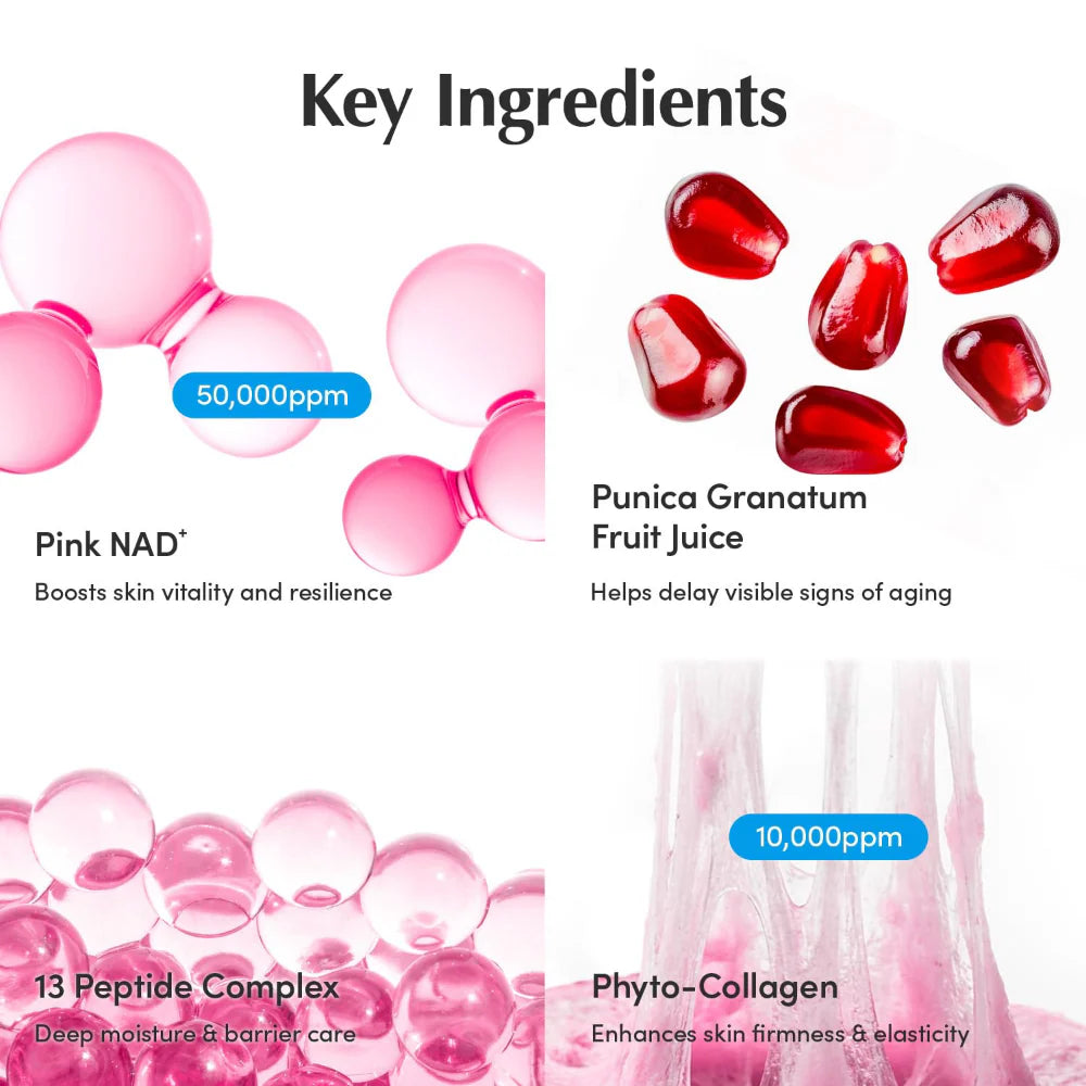 equalberry lush blush nad+ peptide boosting cream key ingredients infographic pink nad+, fruit juice, peptide complex and phyto-collagen