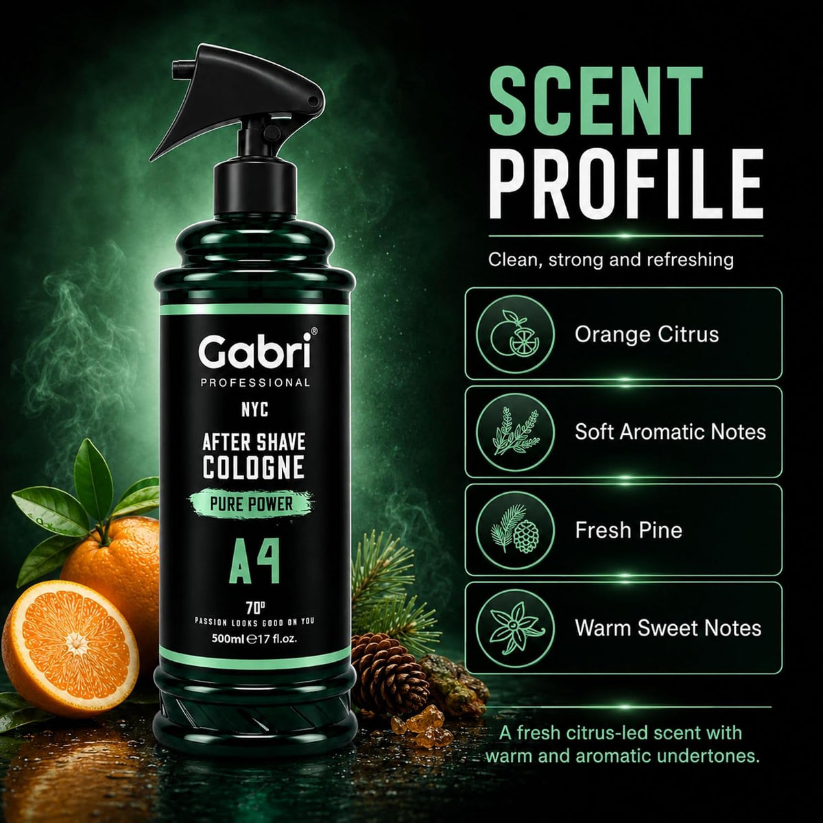 Gabri Professional A4 After Shave Cologne Pure Power 500ml