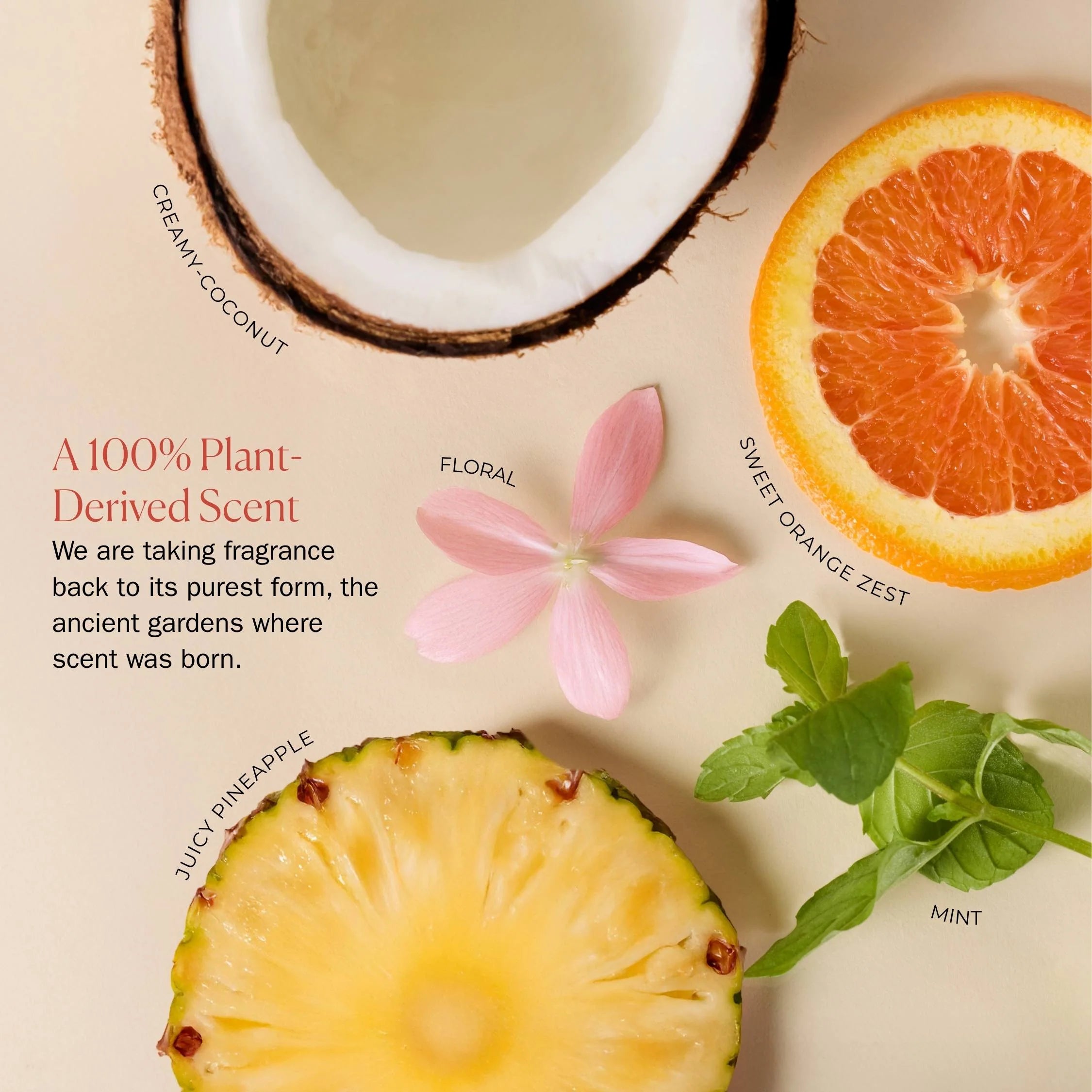 Fragrance ingredients including coconut, orange, pineapple, and mint on a beige background.