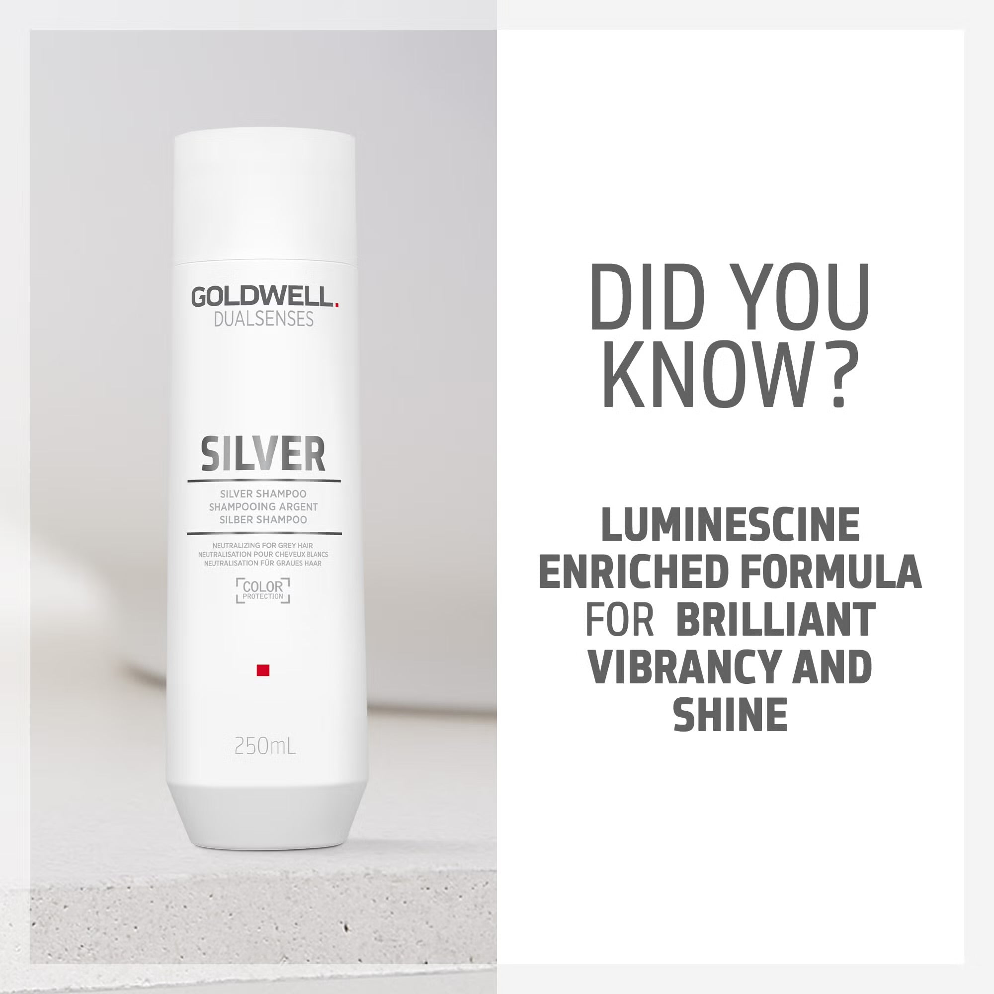 Goldwell Dualsenses Silver Shampoo For Grey & Cool Blonde Hair 250ml