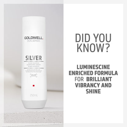 Goldwell Dualsenses Silver Shampoo For Grey &amp; Cool Blonde Hair 250ml