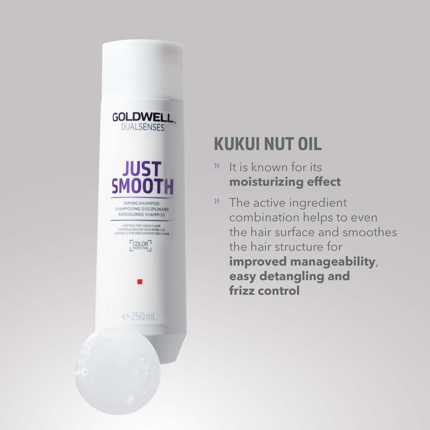 Goldwell Dualsenses Just Smooth Taming Shampoo