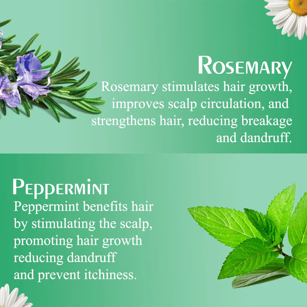 Olive Moisture Rosemary And Mint Style Control Hair Mousse 207ml