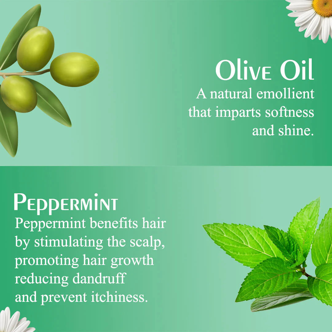 Olive Moisture Style Control Hair Mousse