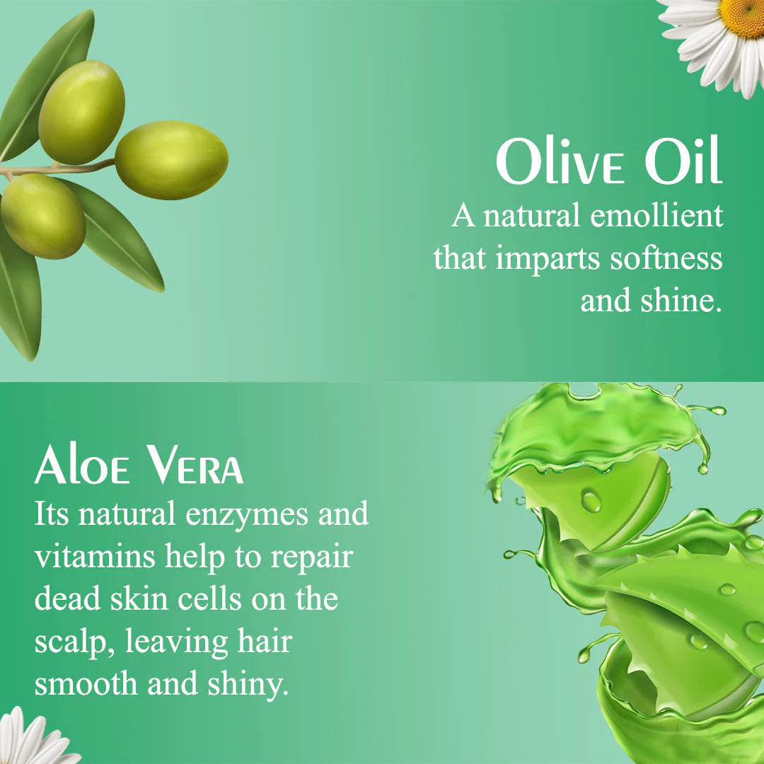 Olive Moisture Curl Defining Shampoo  473ml