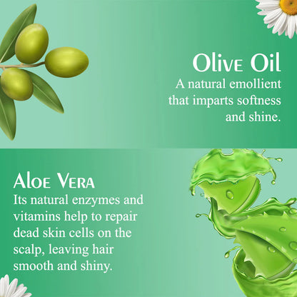 Olive Moisture Curl Defining Shampoo  473ml