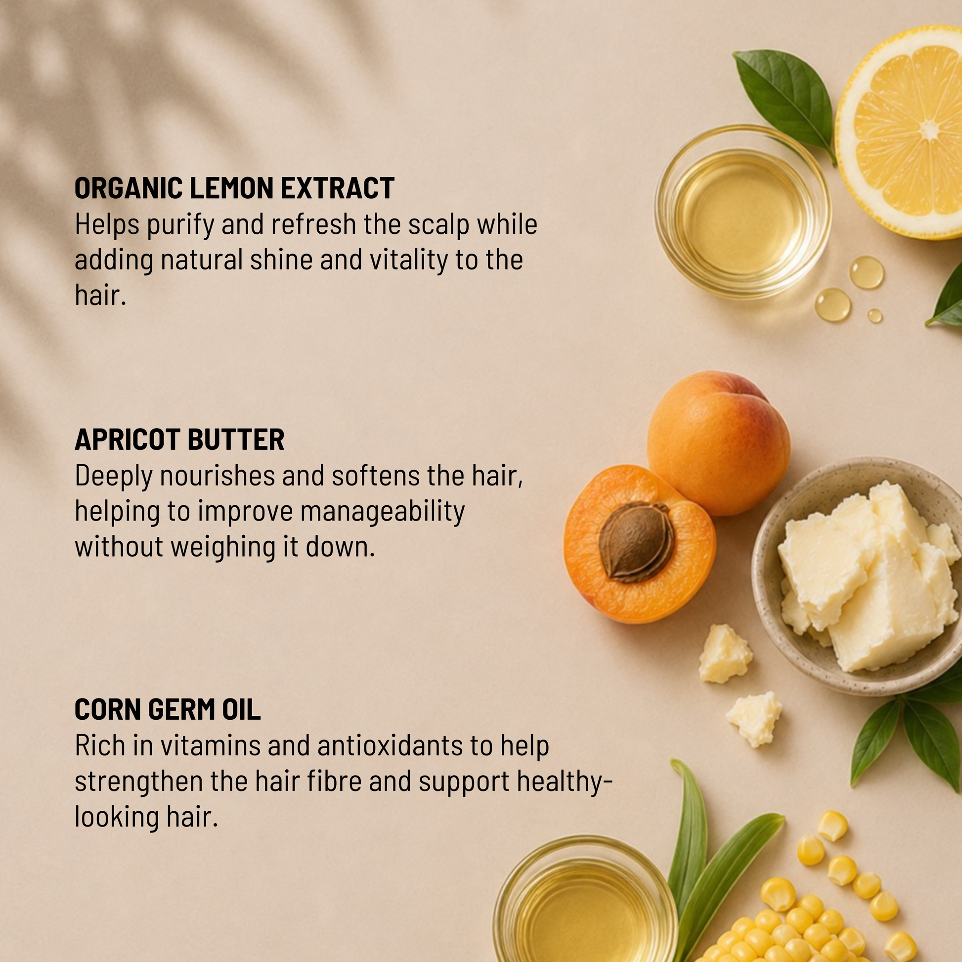 Insight Daily Use Energizing Mask