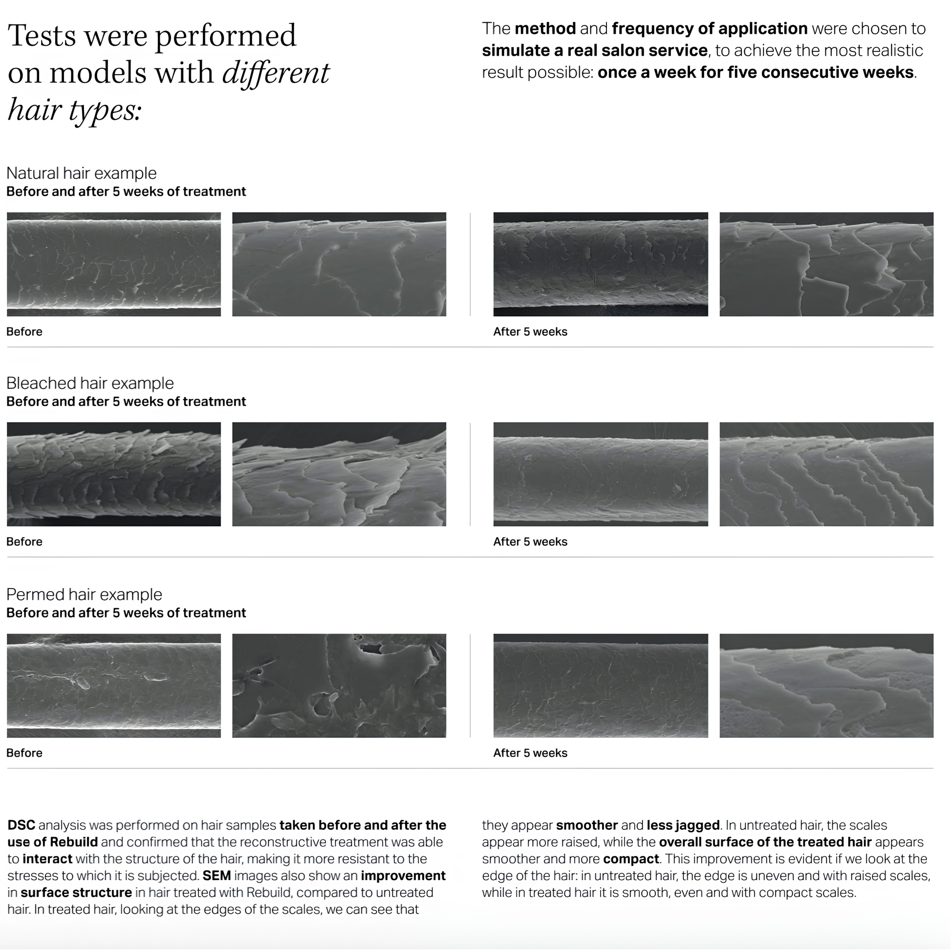 Microscope comparison of natural, bleached and permed hair before and after five weeks of Insight Rebuild treatment, showing smoother, more compact hair fibres