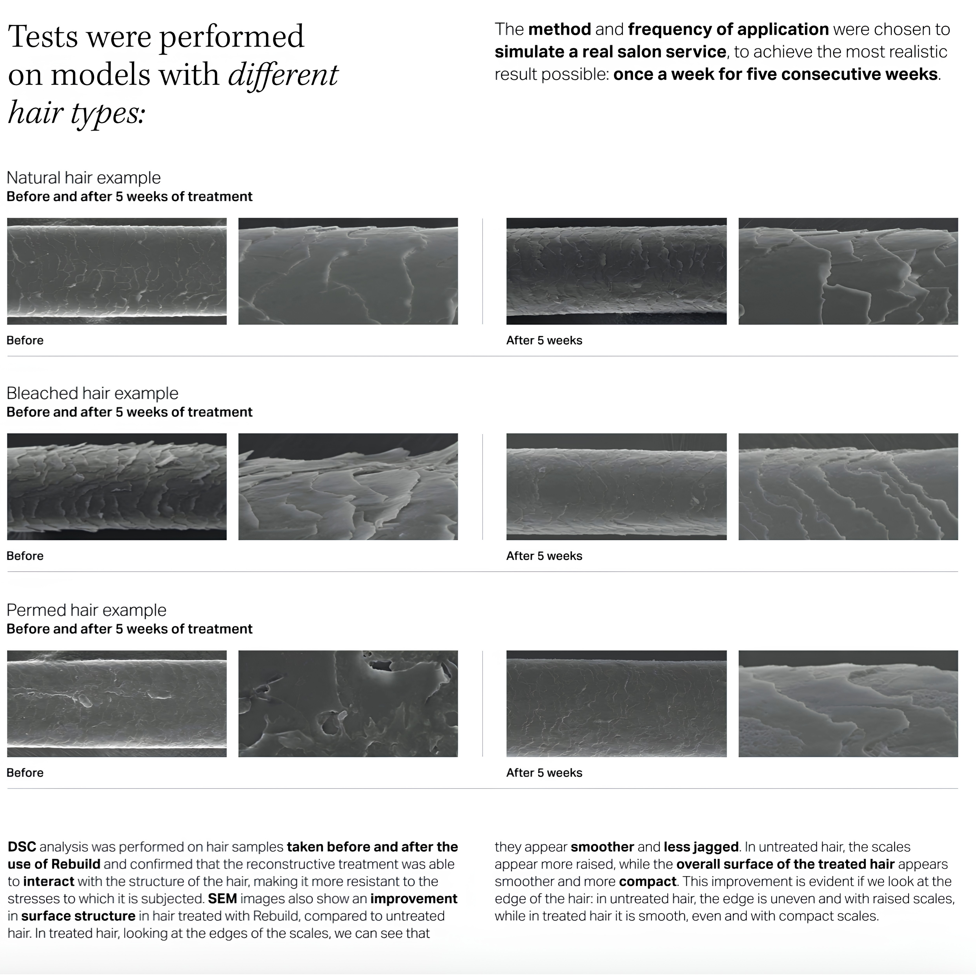 Microscope comparison of natural, bleached and permed hair before and after five weeks of Insight Rebuild treatment, showing smoother, more compact hair fibres