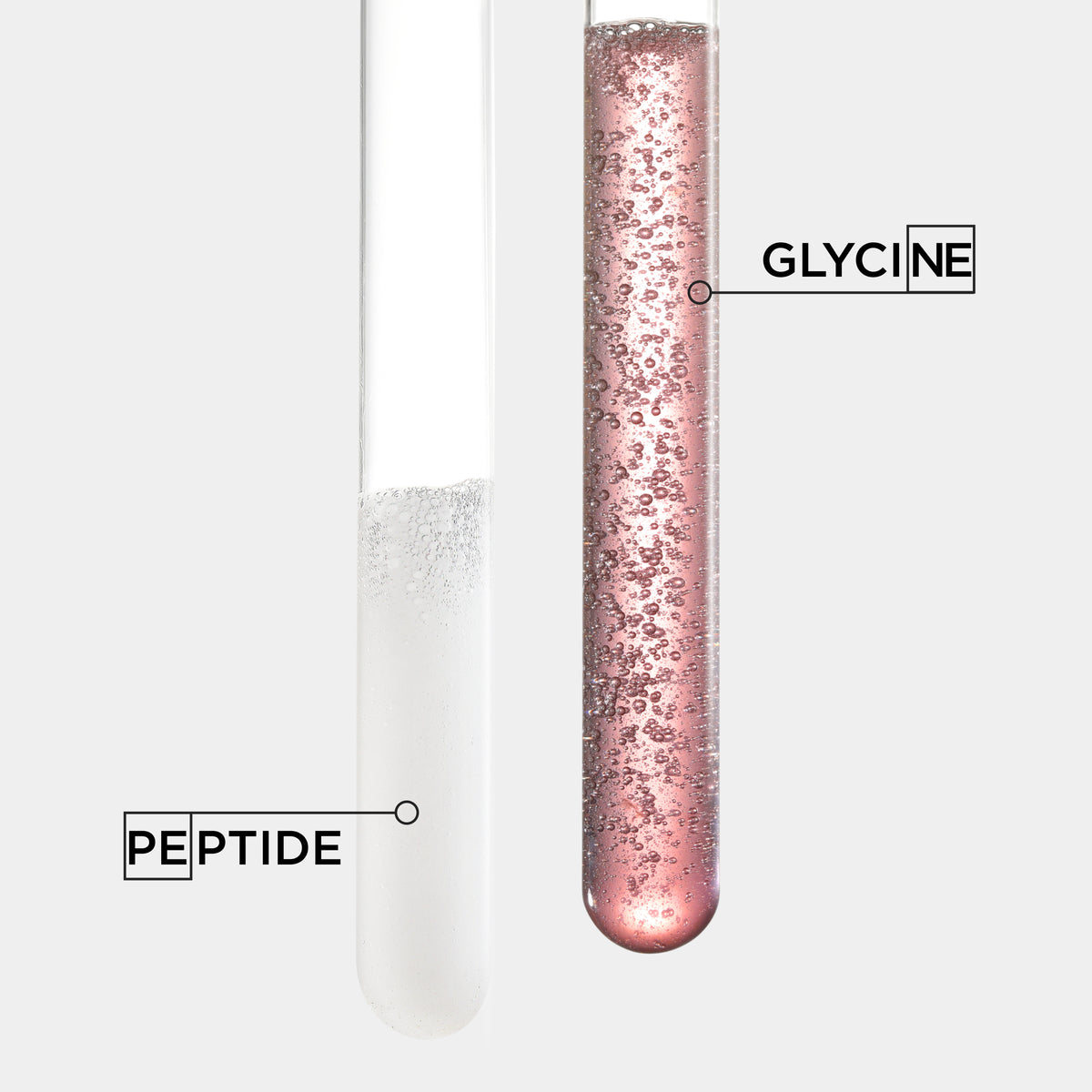 Test tubes labeled 'Glycine' and 'Peptide' with a white background
