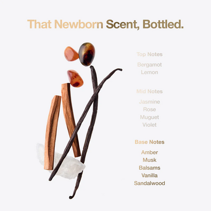 Tallow + Ash Little Miracle Laundry Shampoo 800ml