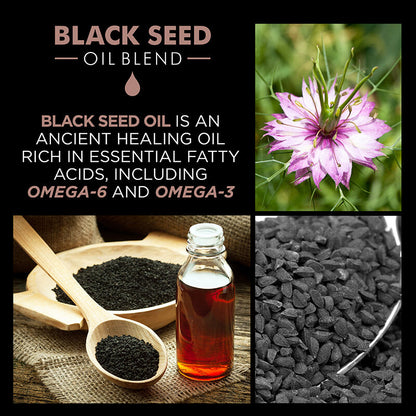 CHI Black Seed Moisture Replenish Conditioner 355ml