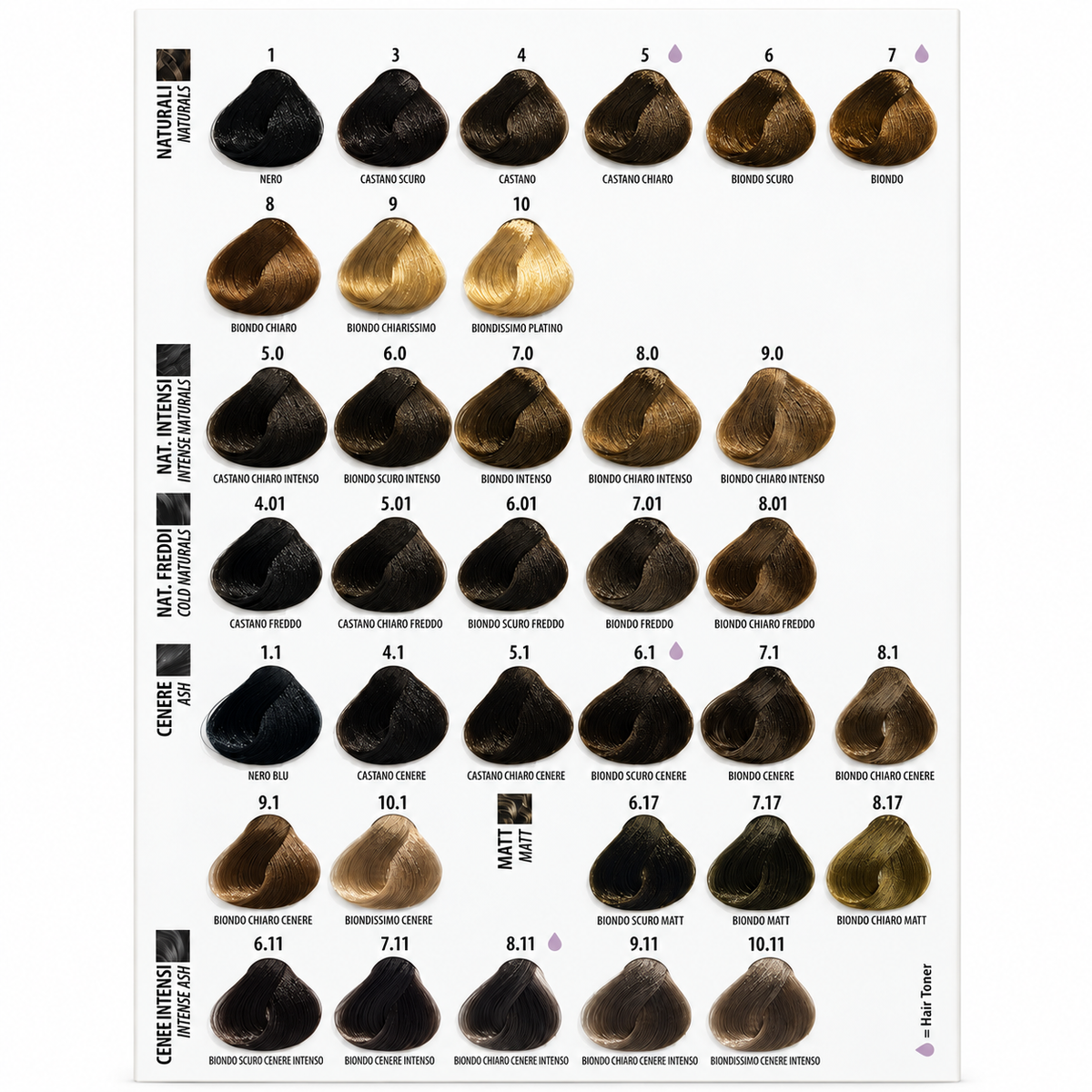 Maxima Professional Colour Swatch Chart 2026 displaying natural, intense natural, cold natural, ash, matt and intense ash permanent hair colour shades