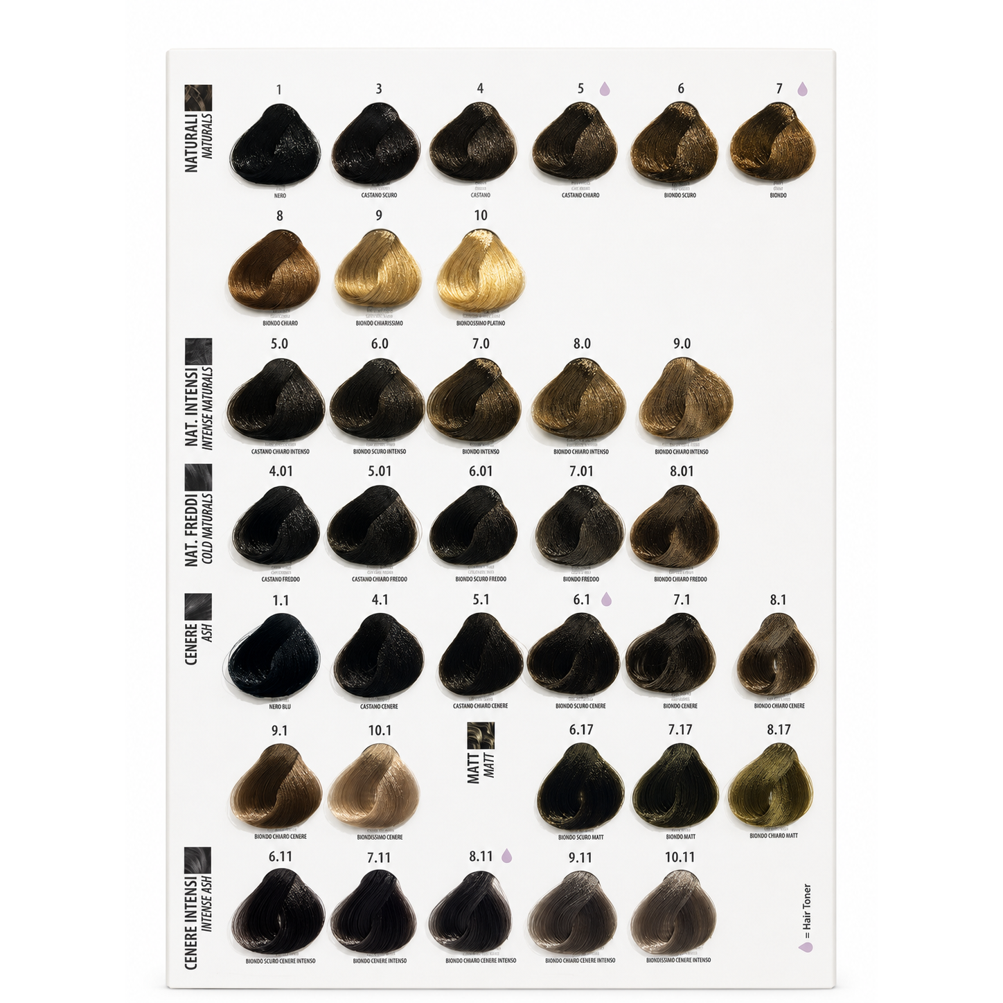 Maxima Professional Colour Swatch Chart 2026 displaying natural, intense natural, cold natural, ash, matt and intense ash permanent hair colour shades