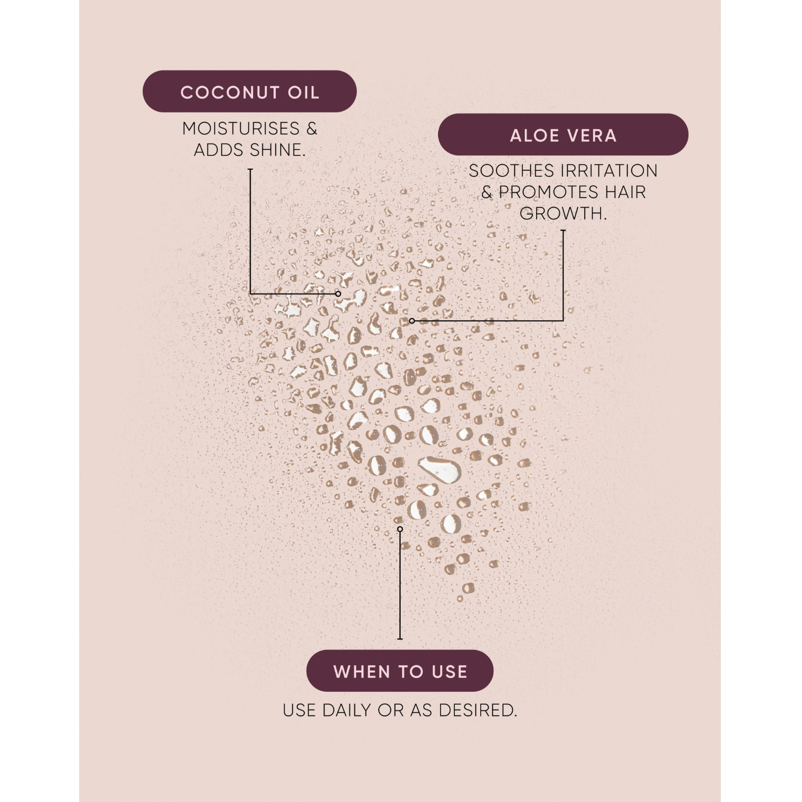 NAK Hair Blowout Smooth Mist 250ml ingredient infographic featuring coconut oil for moisture and shine and aloe vera for soothing hair and scalp care